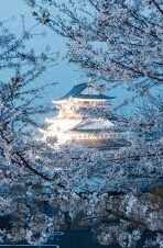 2017av排行榜中榜日韩-2017年AV排行榜中榜，日韩风潮的盛宴与反思