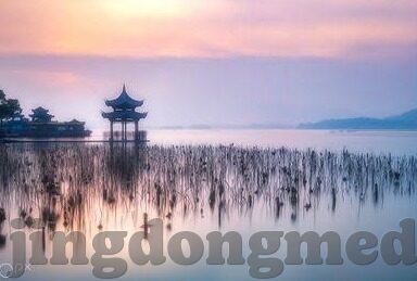 大象禁止传媒视频入口-象行无界，大象保护与传媒界限的微妙平衡
